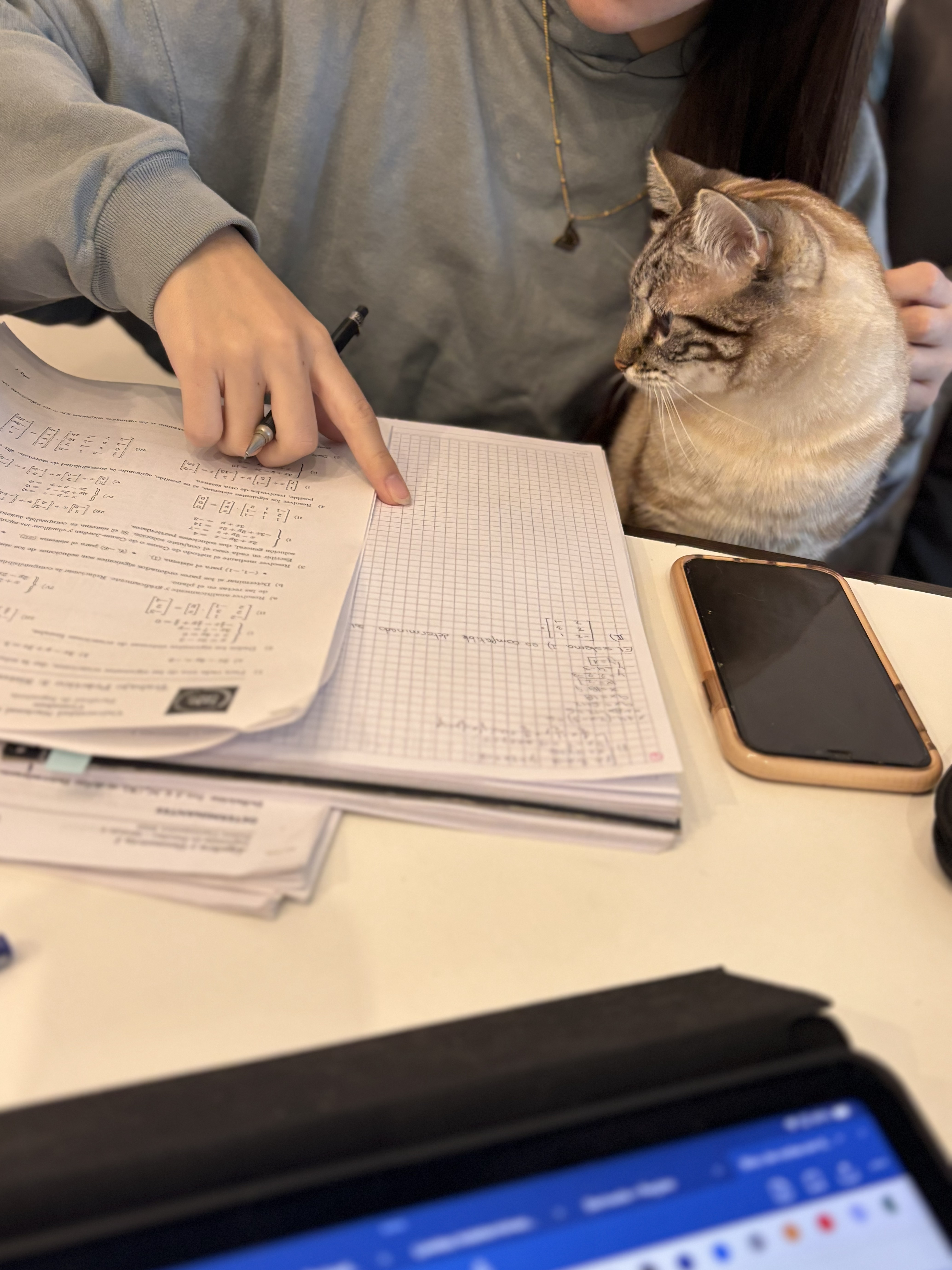 Estudiante con gata