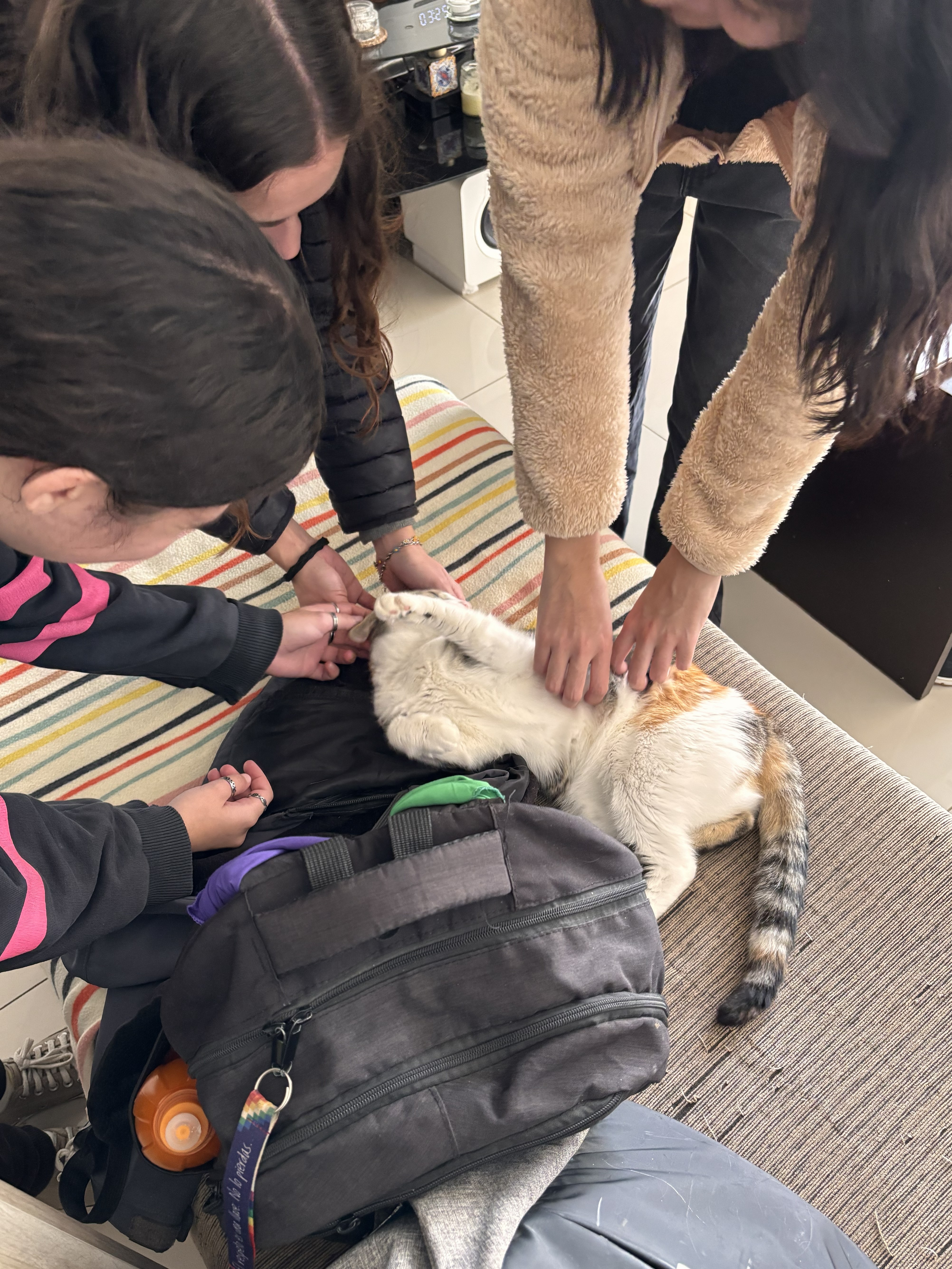 Estudiantes con gata