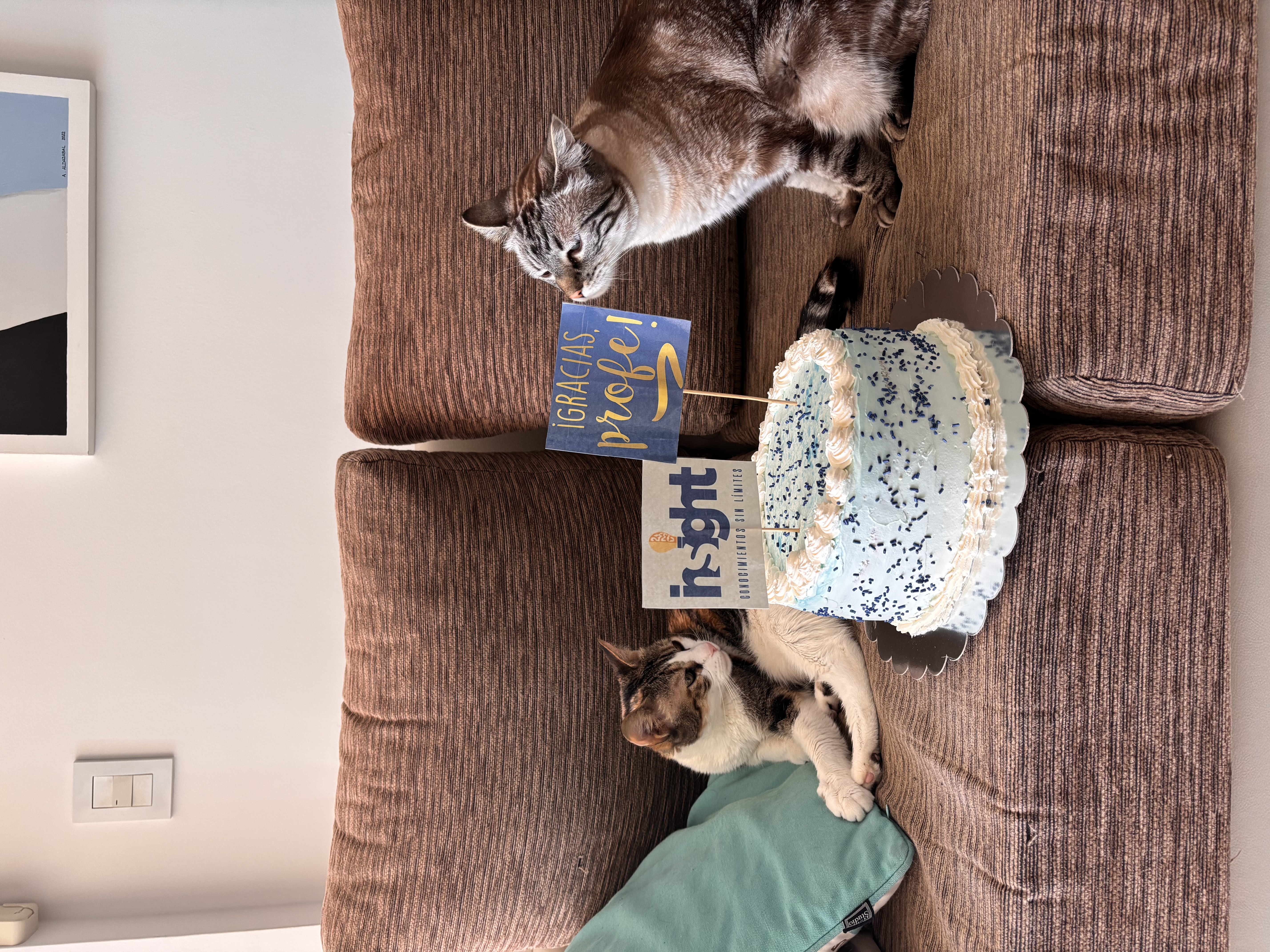 Elvira y Gema — el staff de Insight