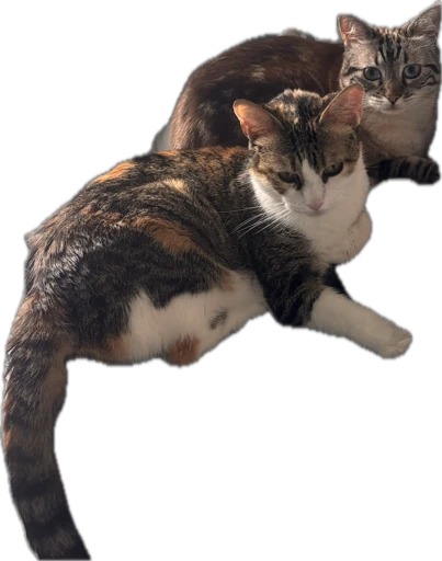 Elvira y Gema